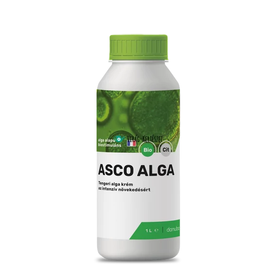 Asco alga